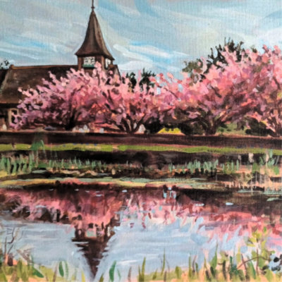 01 Cherry trees Leigh banks
